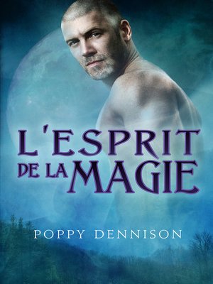 cover image of L'esprit de la magie